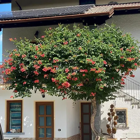 Apartment Casa Arnold With Garden Near Maggiore Leggiuno